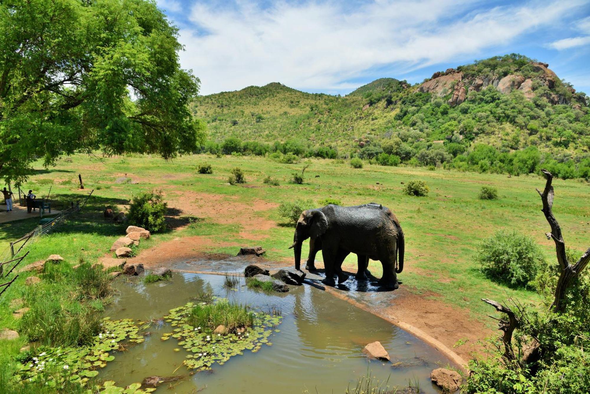 Kwa Maritane Lodge Ледіг Екстер'єр фото